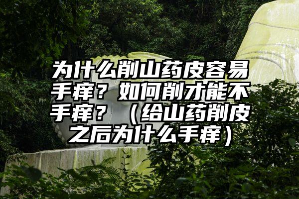 为什么削山药皮容易手痒？如何削才能不手痒？（给山药削皮之后为什么手痒）