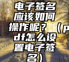 电子签名应该如何操作呢？（pdf怎么设置电子签名）