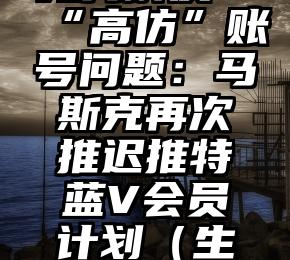 无力解决“高仿”账号问题：马斯克再次推迟推特蓝V会员计划（生活的无力）