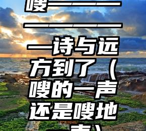 嗖————————诗与远方到了（嗖的一声还是嗖地一声）