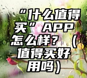 “什么值得买”APP怎么样？（值得买好用吗）