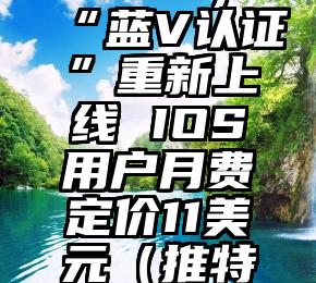 推特(TWTR.US)“蓝V认证”重新上线 IOS用户月费定价11美元（推特蓝标认证什么意思）