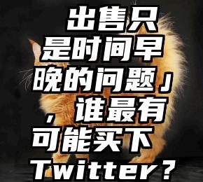 为什么说「Twitter 出售只是时间早晚的问题」，谁最有可能买下 Twitter？（推特上为什么）