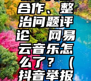 联手抖音合作、整治问题评论  网易云音乐怎么了？（抖音举报音乐）