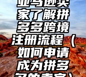 亚马逊卖家了解拼多多跨境注册流程（如何申请成为拼多多的卖家）