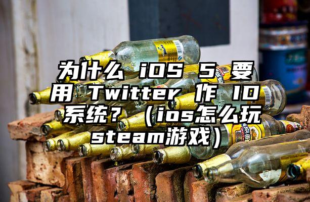 为什么 iOS 5 要用 Twitter 作 ID 系统？（ios怎么玩steam游戏）