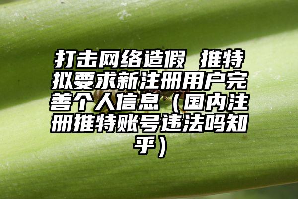 打击网络造假 推特拟要求新注册用户完善个人信息（国内注册推特账号违法吗知乎）