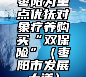 枣阳为重点优抚对象疗养购买“双保险”（枣阳市发展大道）