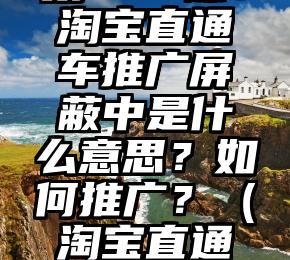 电商运营-第487课：淘宝直通车推广屏蔽中是什么意思？如何推广？（淘宝直通车推广优化怎么做）