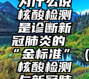 专家释疑：为什么说核酸检测是诊断新冠肺炎的“金标准”（核酸检测与新冠肺炎关系）