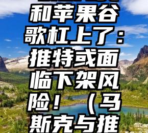 马斯克又和苹果谷歌杠上了：推特或面临下架风险！（马斯克与推特ceo）