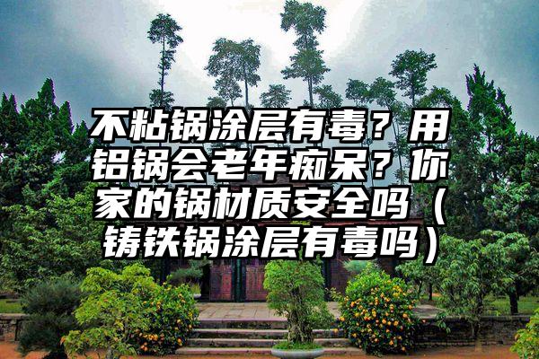 不粘锅涂层有毒？用铝锅会老年痴呆？你家的锅材质安全吗（铸铁锅涂层有毒吗）