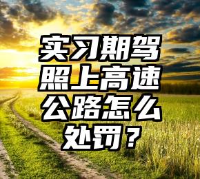 实习期驾照上高速公路怎么处罚？