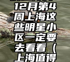 哪些二手房值得买？12月第4周上海这些明星小区一定要去看看（上海值得买的楼盘有哪些）