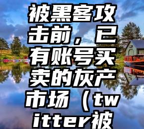 Twitter被黑客攻击前，已有账号买卖的灰产市场（twitter被盗号）