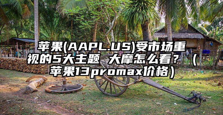 苹果(AAPL.US)受市场重视的5大主题 大摩怎么看？（苹果13promax价格）