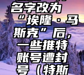 法媒：将名字改为“埃隆·马斯克”后，一些推特账号遭封号（特斯拉的推特）