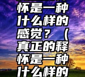 真正的释怀是一种什么样的感觉？（真正的释怀是一种什么样的感觉?）