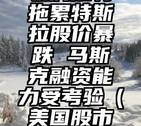 收购推特拖累特斯拉股价暴跌 马斯克融资能力受考验（美国股市特斯拉）