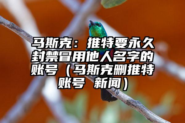 马斯克：推特要永久封禁冒用他人名字的账号（马斯克删推特账号 新闻）