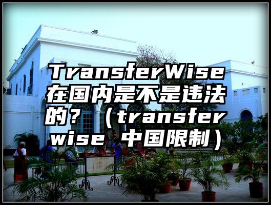 TransferWise在国内是不是违法的？（transferwise 中国限制）