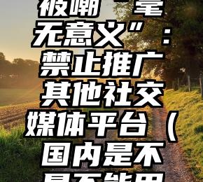 推特新政被嘲“毫无意义”：禁止推广其他社交媒体平台（国内是不是不能用推特）