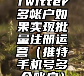 Twitter多帐户如果实现批量注册运营（推特手机号多个账户）