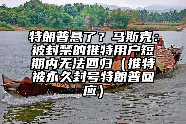 特朗普悬了？马斯克：被封禁的推特用户短期内无法回归（推特被永久封号特朗普回应）