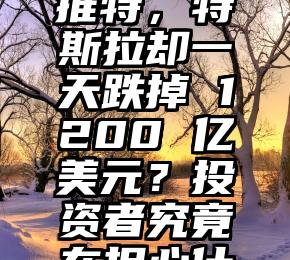 如何看待马斯克自己掏钱买推特，特斯拉却一天跌掉 1200 亿美元？投资者究竟在担心什么？（马斯克,比特币）