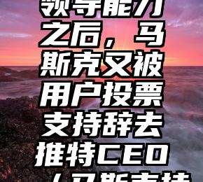 被特斯拉股东质疑领导能力之后，马斯克又被用户投票支持辞去推特CEO（马斯克持股特斯拉多少）