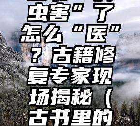 古书“病虫害”了怎么“医”？古籍修复专家现场揭秘（古书里的蛀虫）