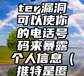 一个Twitter漏洞可以使你的电话号码来暴露个人信息（推特是匿名举报吗）