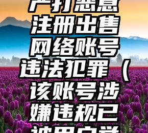 公安机关严打恶意注册出售网络账号违法犯罪（该账号涉嫌违规已被用户举报）