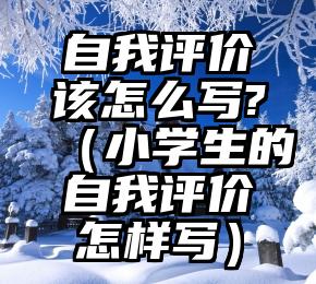 自我评价该怎么写?（小学生的自我评价怎样写）