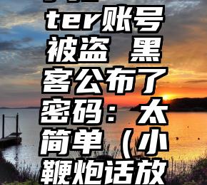 小扎Twitter账号被盗 黑客公布了密码：太简单（小鞭炮话放音质不行）