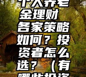 理财公司加紧研发个人养老金理财 各家策略如何？投资者怎么选？（有哪些投资理财的书籍）