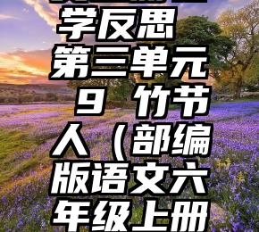 六年级语文上册教学反思 第三单元 9 竹节人（部编版语文六年级上册第三单元反思总结）