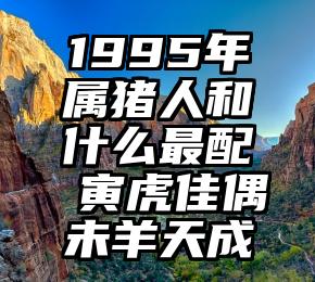 1995年属猪人和什么最配 寅虎佳偶未羊天成