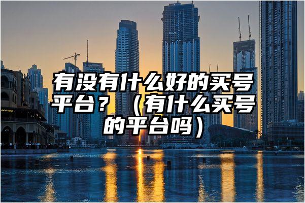 有没有什么好的买号平台？（有什么买号的平台吗）