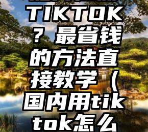 如何注册TIKTOK？最省钱的方法直接教学（国内用tiktok怎么注册）