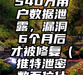 推特承认540万用户数据泄露，漏洞6个月后才被修复（推特泄密数百位什么意思）