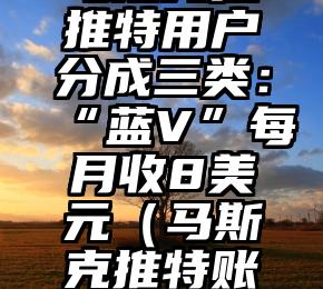 马斯克把推特用户分成三类：“蓝V”每月收8美元（马斯克推特账号是什么）