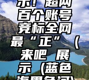 来吧！展示！超两百个账号竞标全网最“正”（来吧 展示 (蓝色海黑色河) (片段)）