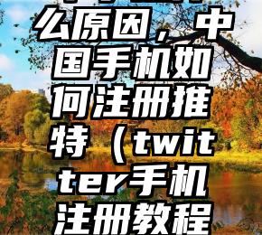 Twitter推特注册不了是什么原因，中国手机如何注册推特（twitter手机注册教程推特手机怎么注册呢安全吗）