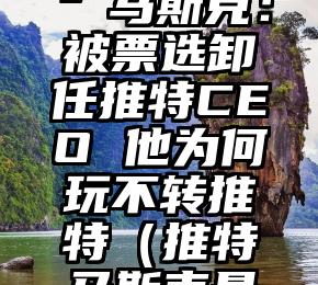 “中年叛逆”马斯克：被票选卸任推特CEO 他为何玩不转推特（推特马斯克最新消息）