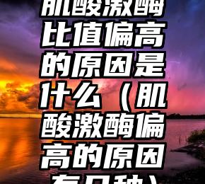 肌酸激酶比值偏高的原因是什么（肌酸激酶偏高的原因有几种）