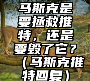 马斯克是要拯救推特，还是要毁了它？（马斯克推特回复）