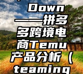 Team Up，Price Down——拼多多跨境电商Temu产品分析（teaming in with的区别）