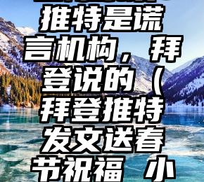 国际杂谈：推特是谎言机构，拜登说的（拜登推特发文送春节祝福 小说）