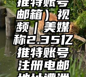 深度揭秘（推特账号邮箱）视频｜美媒称2.35亿推特账号注册电邮地址遭泄露，